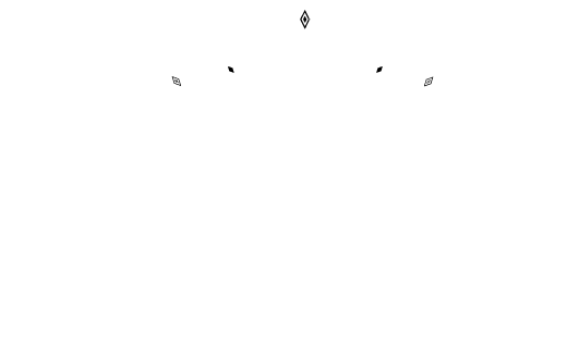zerionwatches
